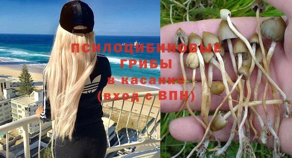 гашиш Пролетарск