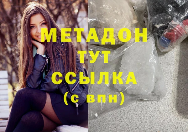 прущие грибы Дедовск